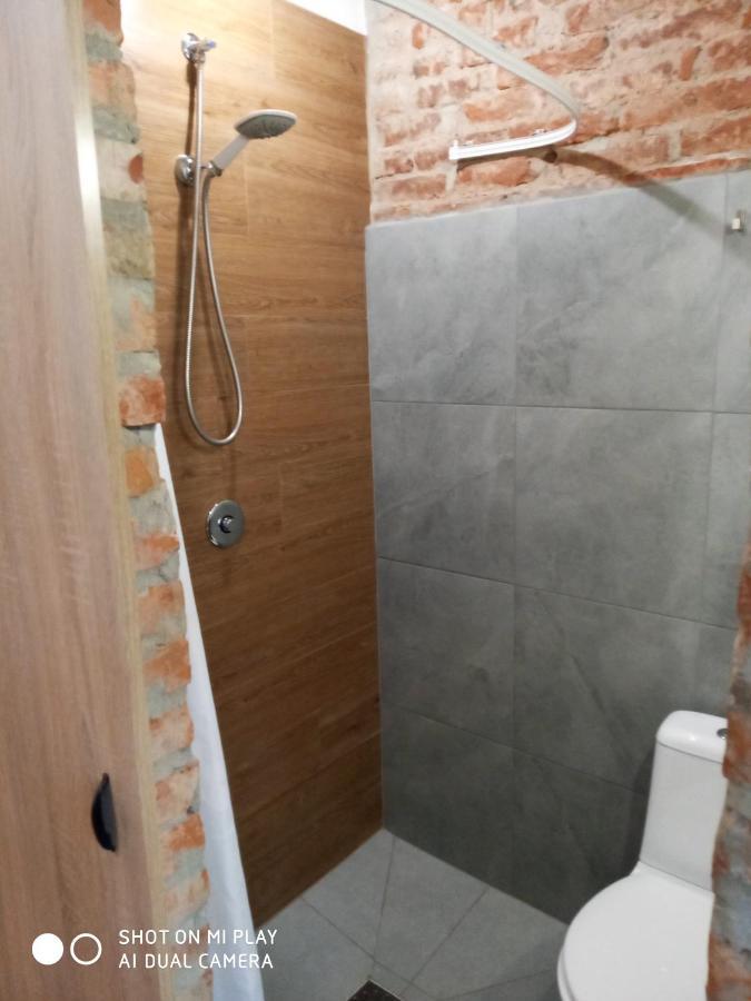 Gogol 14 Апартаменти В Історичному Центрі Міста Użhorod Zewnętrze zdjęcie