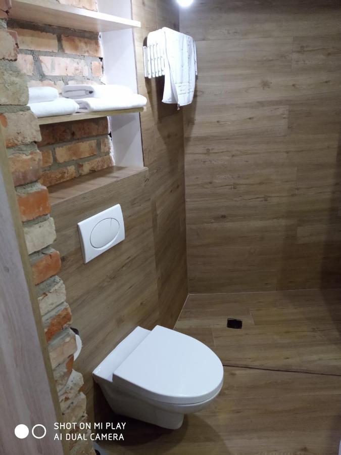 Gogol 14 Апартаменти В Історичному Центрі Міста Użhorod Zewnętrze zdjęcie
